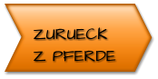 ZURUECK Z PFERDE